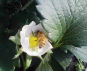 201101231334000.jpg